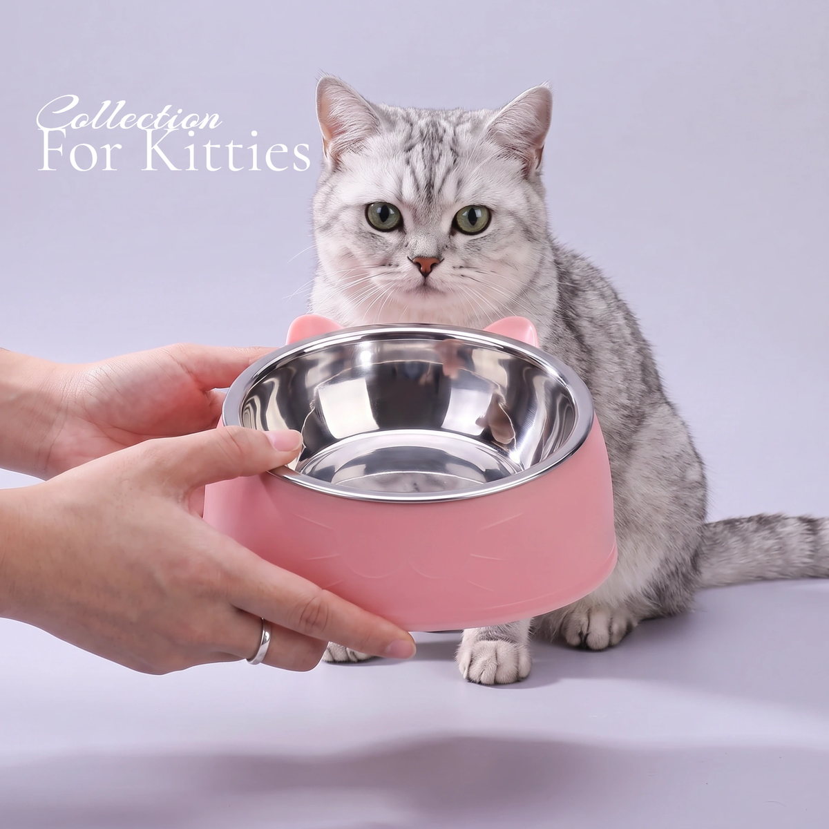 For Kitties