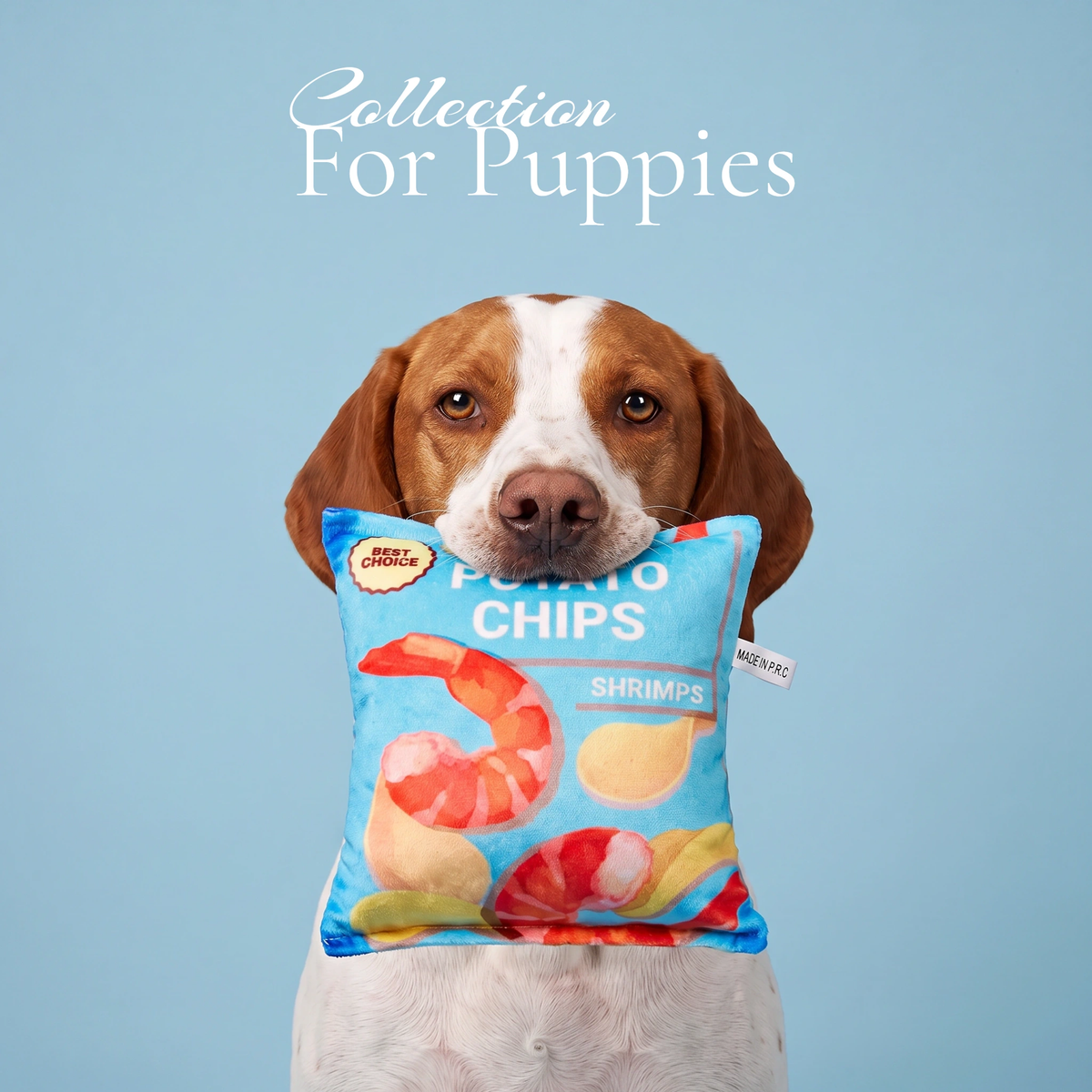 For Puppies
