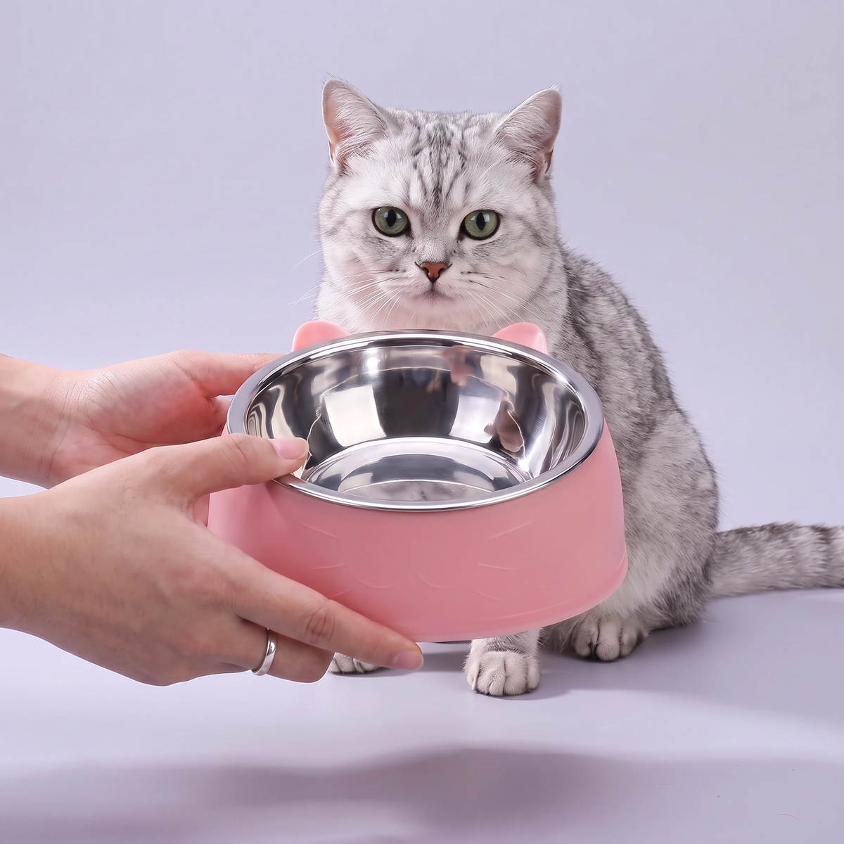 Cat Bowl - Pointy Ears