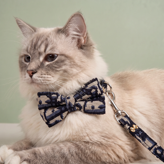 Cat Bowtie & Leash - Luxury Edition