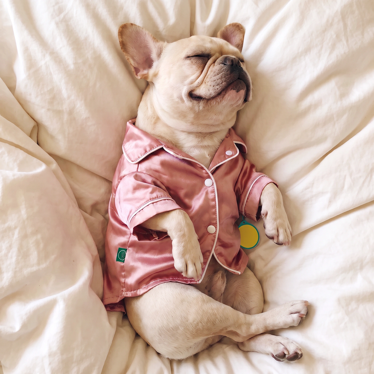 Dog Pajamas - Silky Sleep