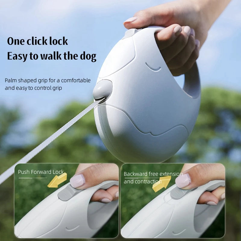 Dog Leash - Fancy Baby