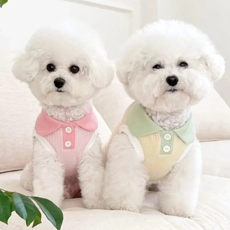 Dog Blouse - So Stylish