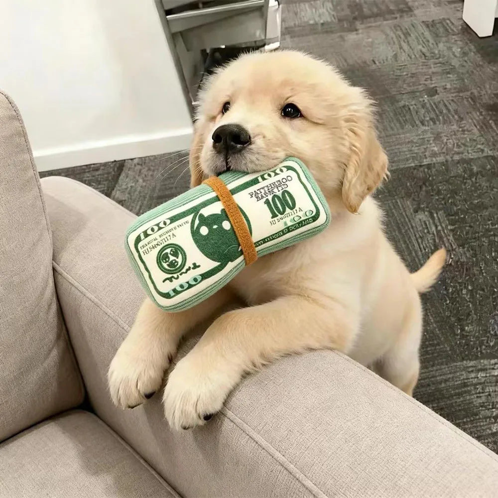 Dog Plush Toy - Money!