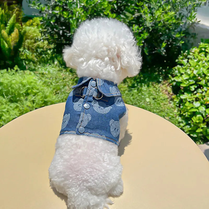 Dog Harness + Leash - Chic Denim