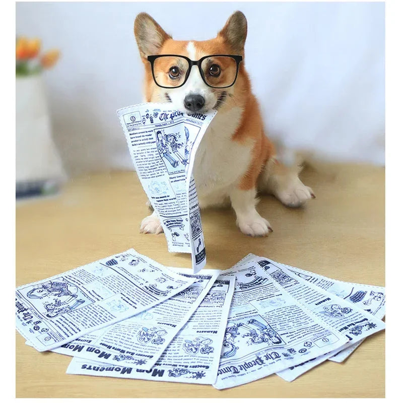 Dog Chew Toy - The Dog Times
