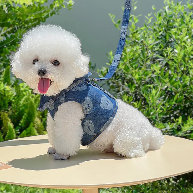 Dog Harness + Leash - Chic Denim