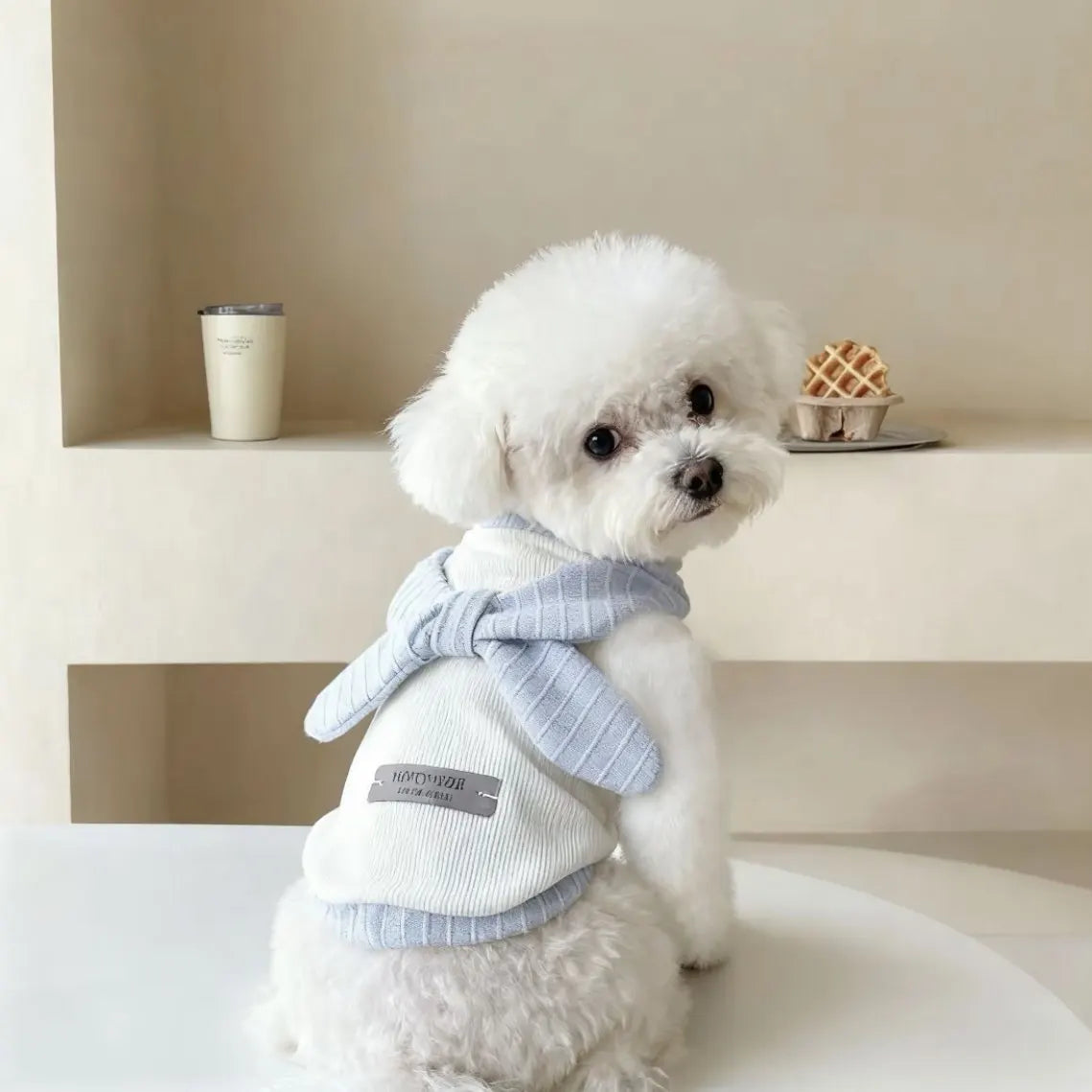 Dog Blouse - Back To School
