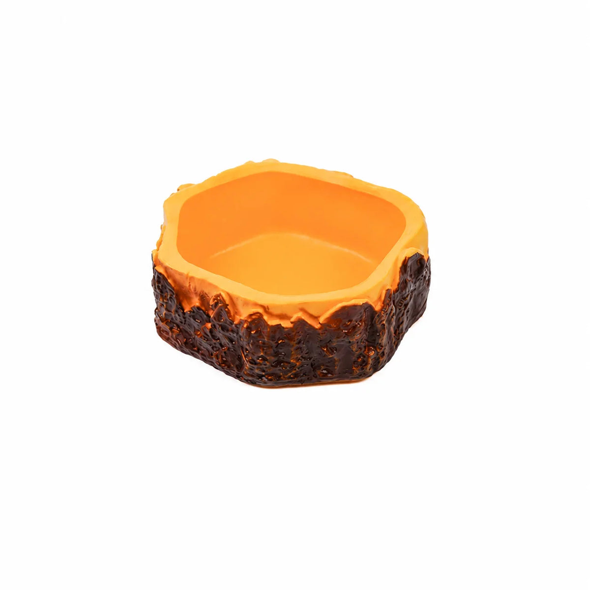 Cartoon Veggie Bowl - Healthy Paws