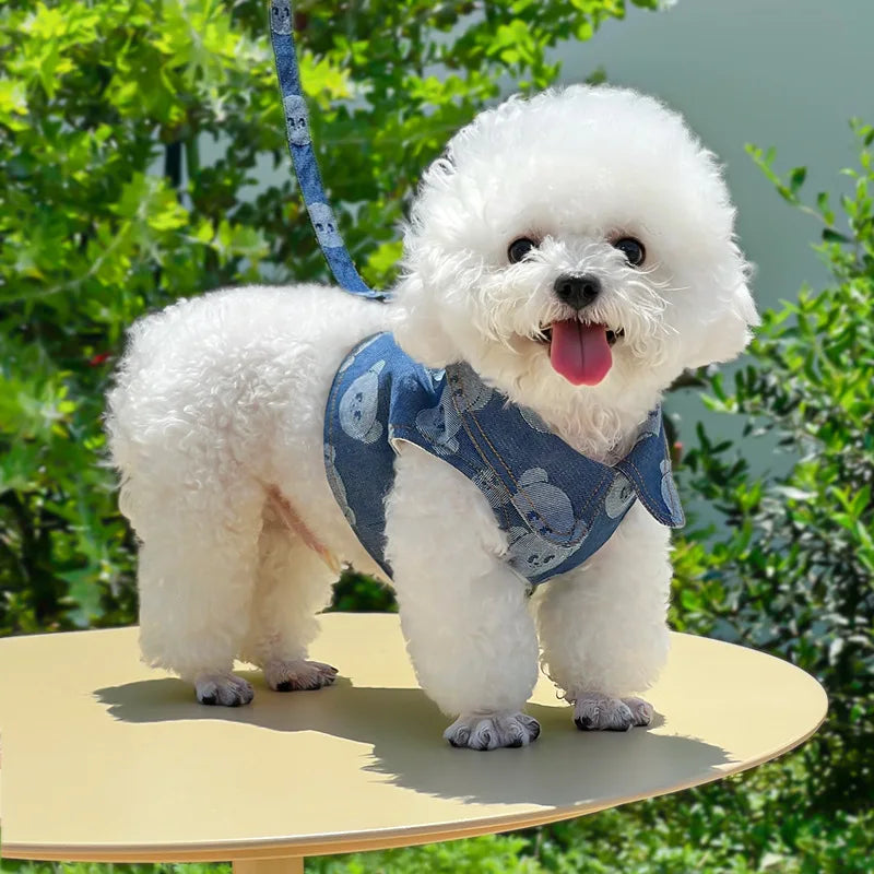 Dog Harness + Leash - Chic Denim