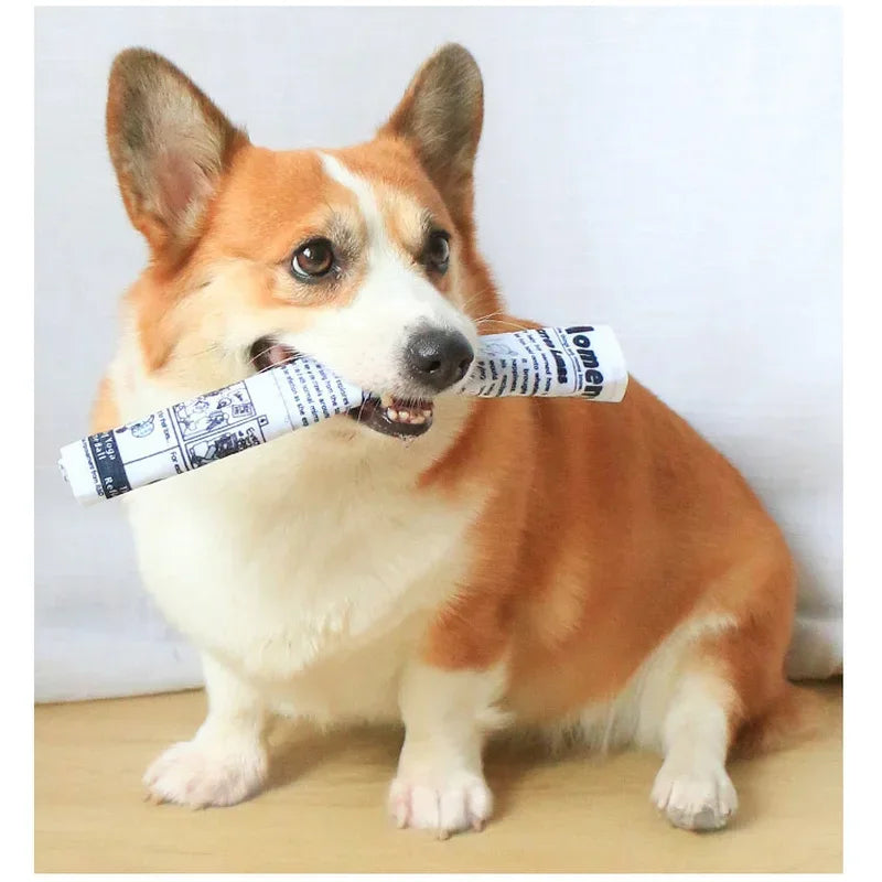 Dog Chew Toy - The Dog Times