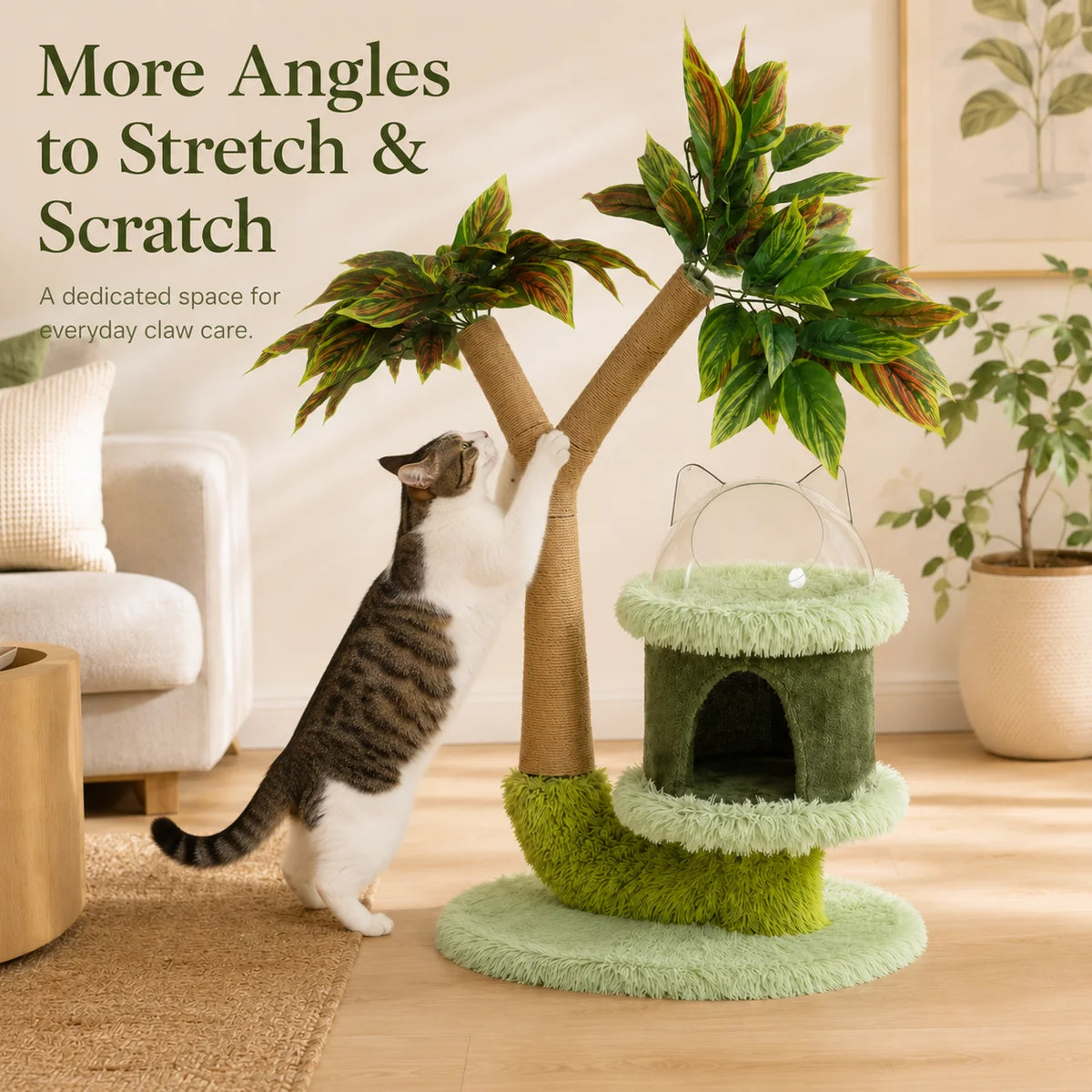 Mango Tree - Scratch & Play