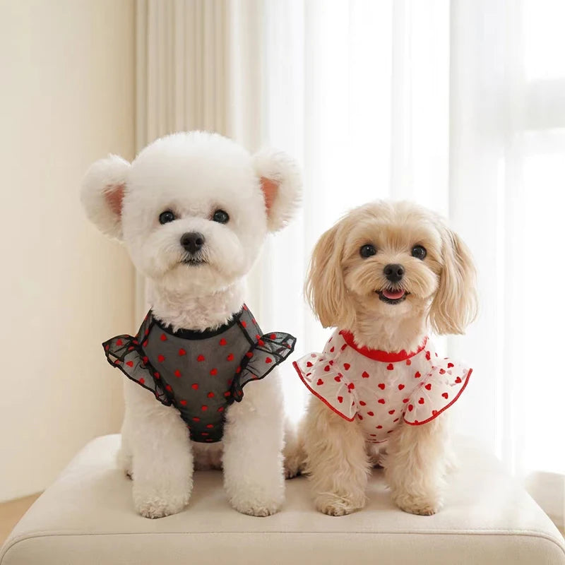 Dog Vest - Puppy Love