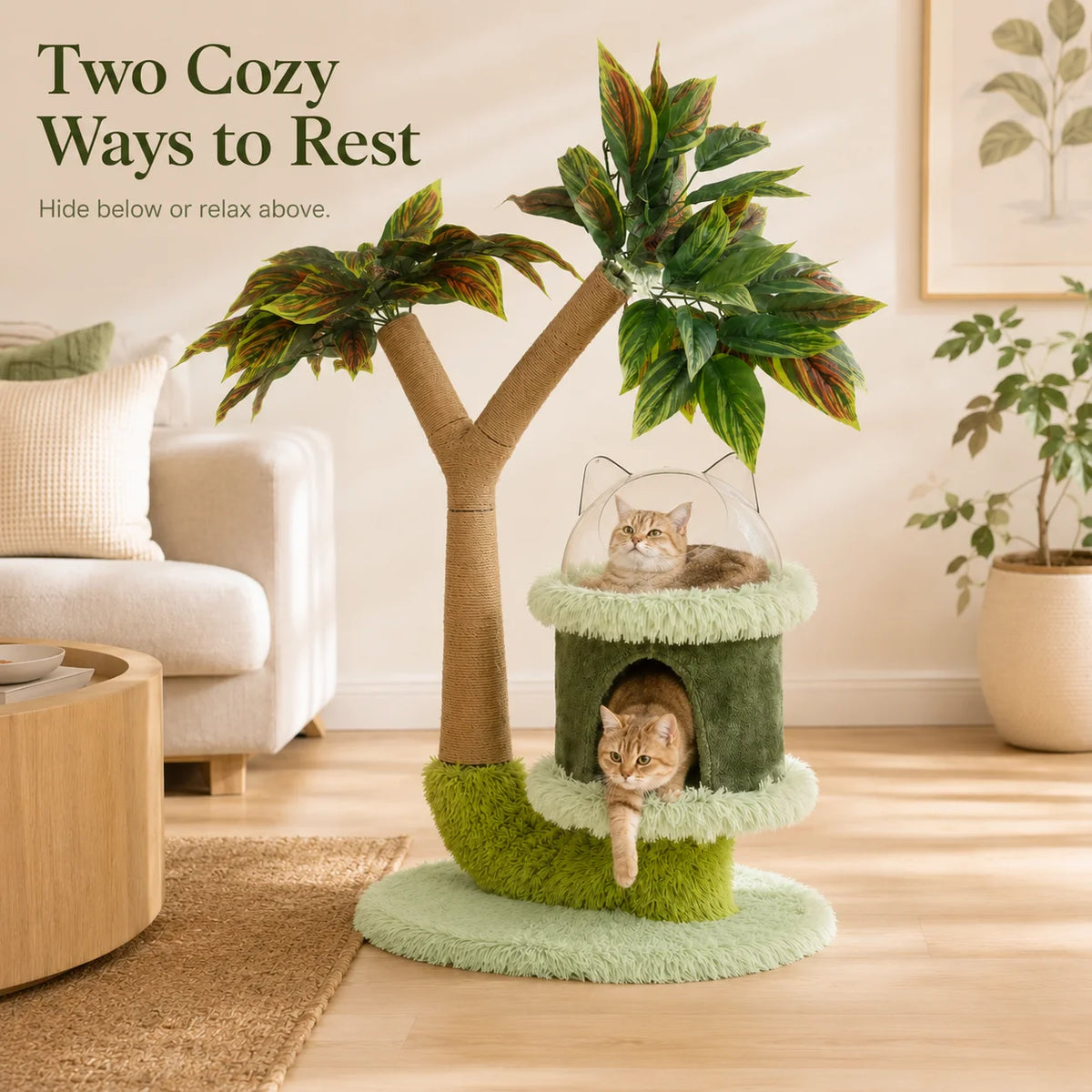 Mango Tree - Scratch & Play