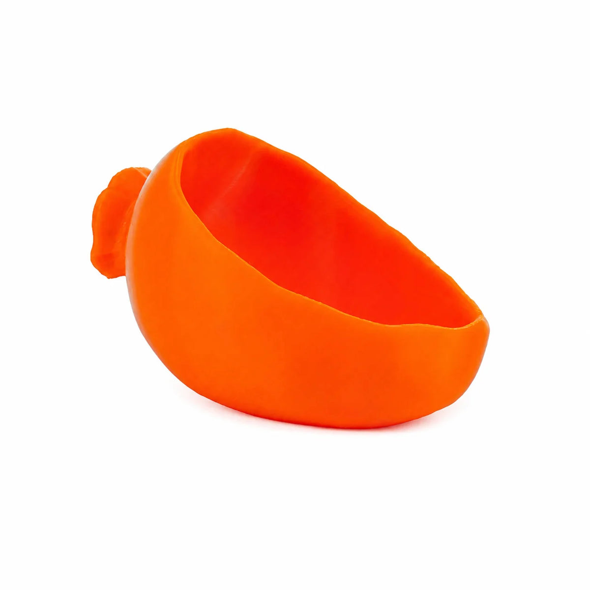 Cartoon Veggie Bowl - Healthy Paws