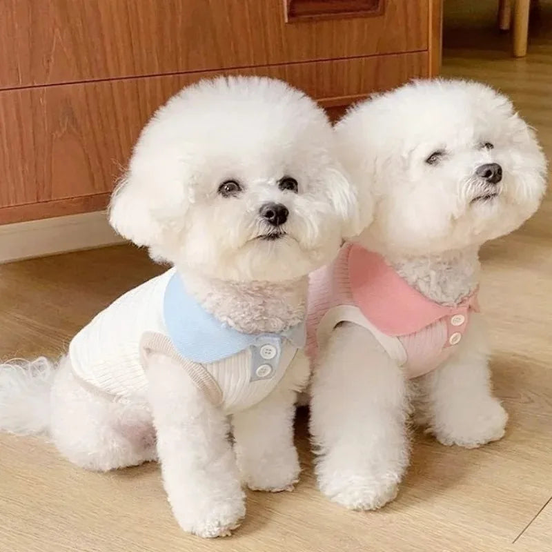 Dog Blouse - So Stylish