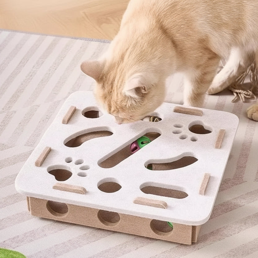 Cat Puzzle Toy - SmartKitty