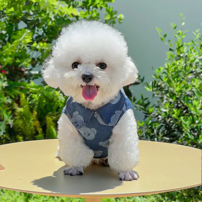 Dog Harness + Leash - Chic Denim