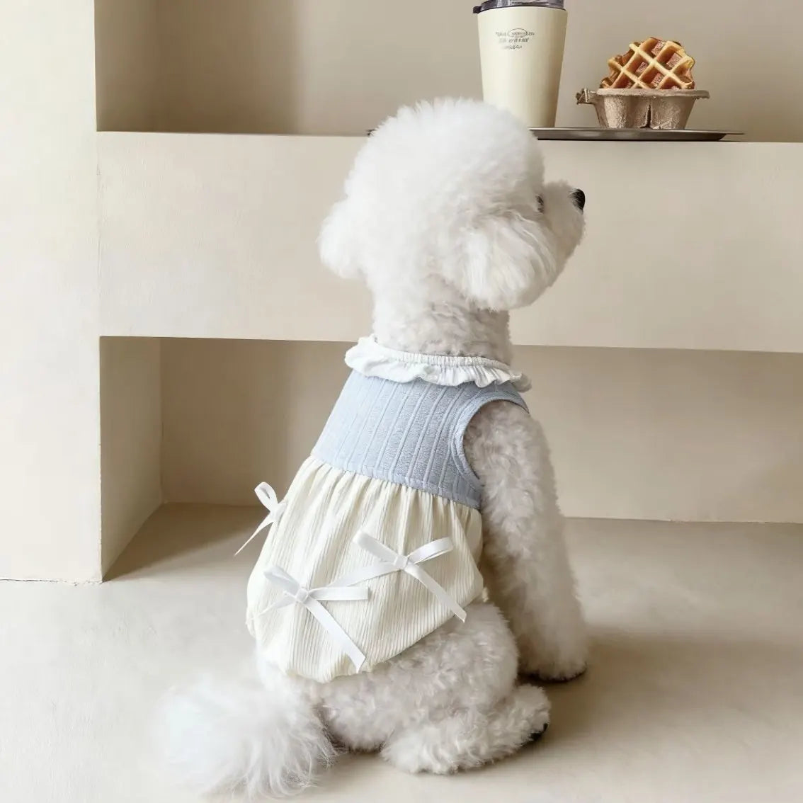 Dog Blouse - Back To School