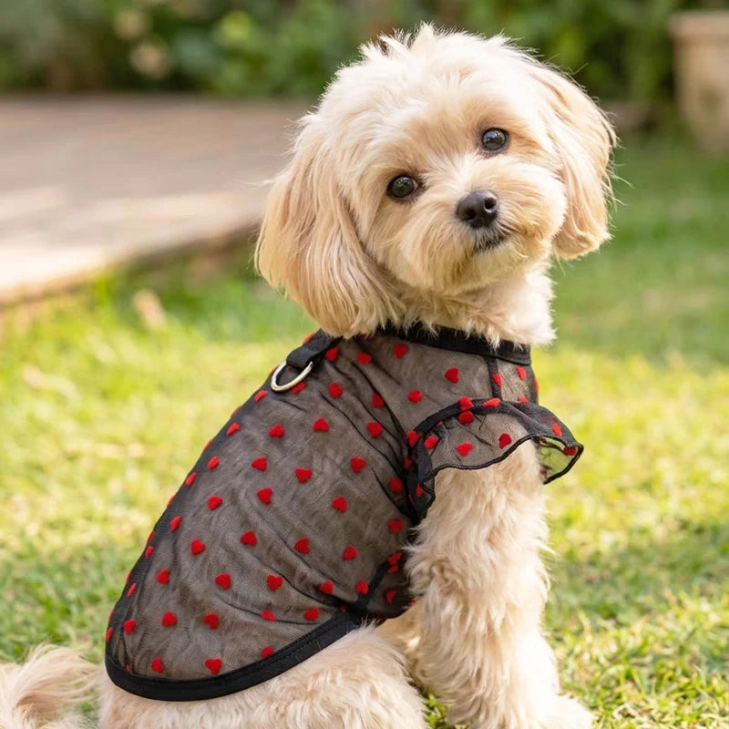 Dog Vest - Puppy Love